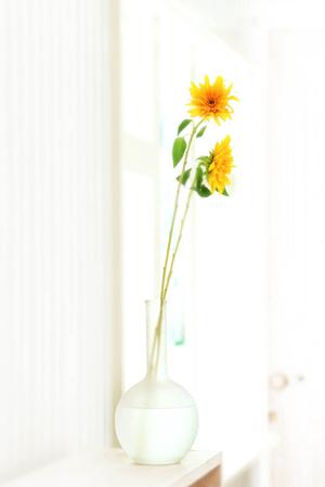 札幌の快適な住空間を実現！タカラスタンダード札幌ショールームの魅力と最新情報