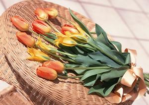 大阪で事務所クロス張替えに熟知した会社